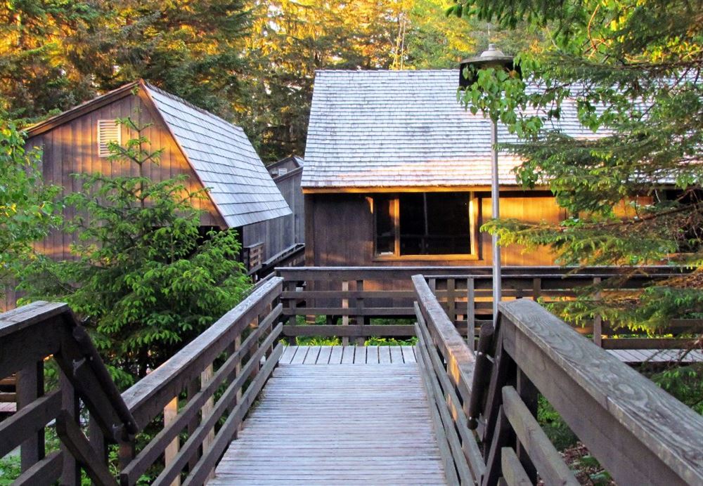 Glacier Bay Lodge Tour 196 - 3 days / 2 nights